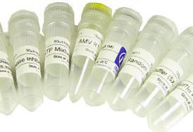 苊化學試劑的特性、應用與安全操作指南